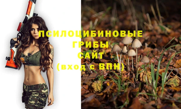 экстази Алзамай